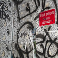 IMGP5717_lzn.jpg