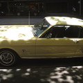 IMGP5719_lzn.jpg