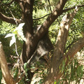 IMGP5739.JPG