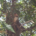IMGP5741_lzn.jpg
