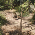 IMGP5742_lzn.jpg
