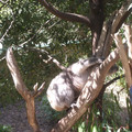 IMGP5748.JPG