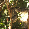 IMGP5751_lzn.jpg