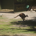 IMGP5753_lzn.jpg