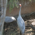 IMGP5769.JPG