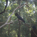 IMGP5773.JPG