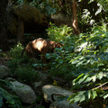 P1000842.JPG