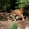 P1000845.JPG