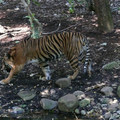 P1000846.JPG
