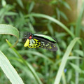 P1000854.JPG