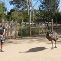 P1000880.JPG