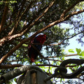 P1000886.JPG