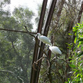 P1000888.JPG
