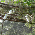 P1000889.JPG