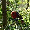 P1000890.JPG