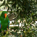P1000891.JPG