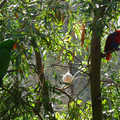 P1000897.JPG