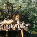 P1000900.JPG
