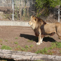 P1000903.JPG