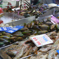 P1000936.JPG