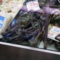 P1000937.JPG