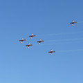 P1000969.JPG