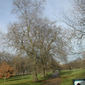DSCN0149.JPG