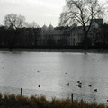 DSCN0180.JPG