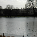 DSCN0182.JPG