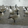 DSCN0183.JPG