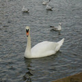 DSCN0187.JPG