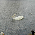 DSCN0188.JPG