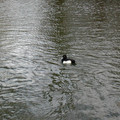 DSCN0192.JPG