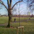 owen-021.jpg