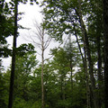 DSCN0024.JPG