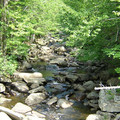 DSCN0097.JPG