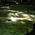 DSCN0101.JPG
