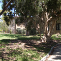 IMGP7119.JPG