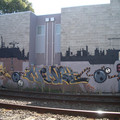 IMGP7142.JPG