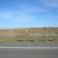 DSCN2303.jpg