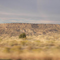 DSCN2318.jpg