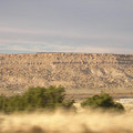DSCN2319.jpg