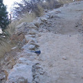 DSCN2357.jpg