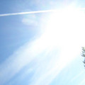 DSCN2433.jpg