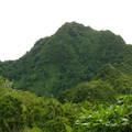 P1010670.JPG