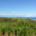 P1010842.JPG