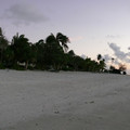 P1010988.JPG