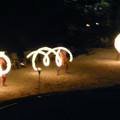 P1020007.JPG