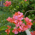 P1020101.JPG