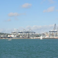 P1020257.JPG